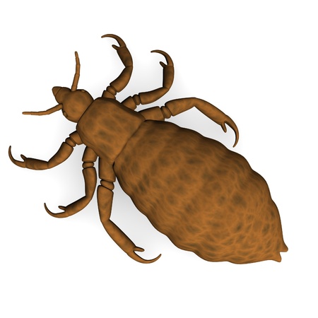 3d render of louse parasite の写真素材