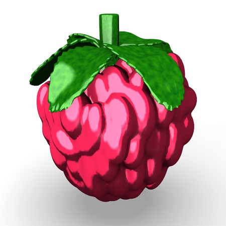 3d render of rasp berry