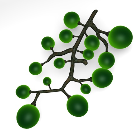 3d render of vine fruit の写真素材