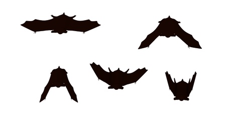 3d render of cartoon bat