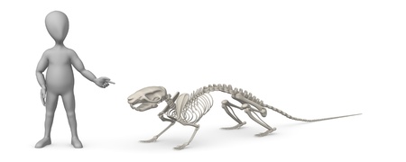 3d render of cartoon character with mouse skeletonの写真素材