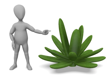 3d render of cartoon character with succulent plantの写真素材