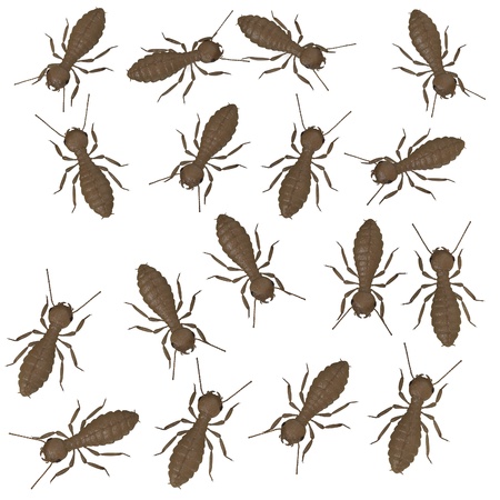 3d render of  termite workers