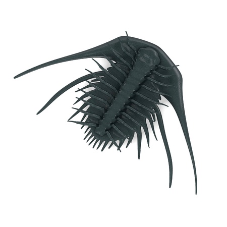 3d render of  trilobite animalの写真素材