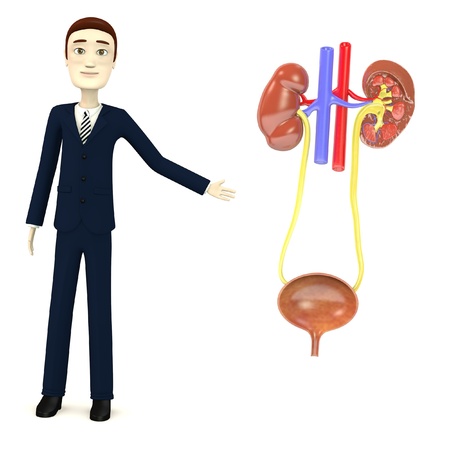 3d render of cartoon character with urinary systemの写真素材