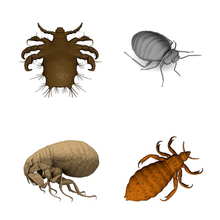 collection of 3d renders - parasitesの写真素材