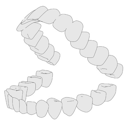 cartoon image of human teeth