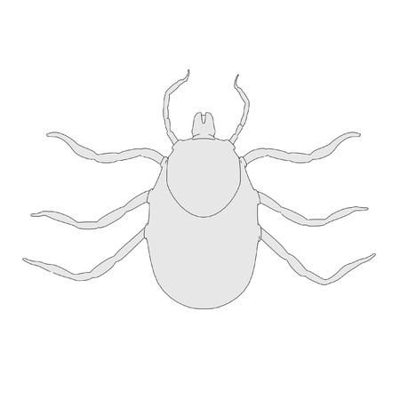 cartoon image of tick larvaの写真素材