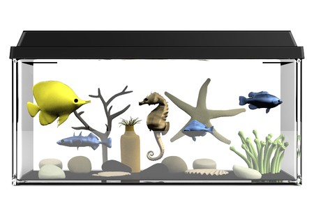 realistic 3d render of aquariumの写真素材