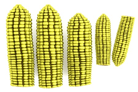 realistic 3d model of cornsの写真素材