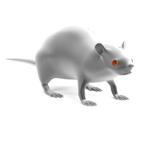 realistic 3d render of ratの写真素材