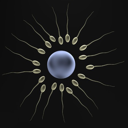 realistic 3d render of sperms