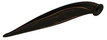 realistic 3d render of leech