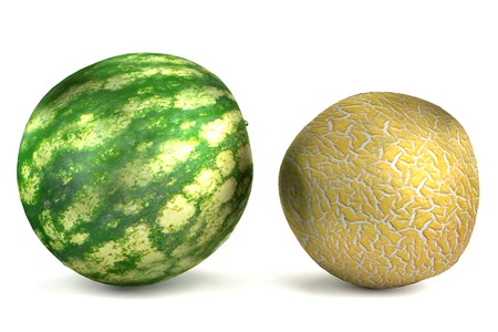 realistic 3d render of melonの写真素材
