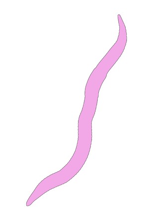 cartoon image of worm insect