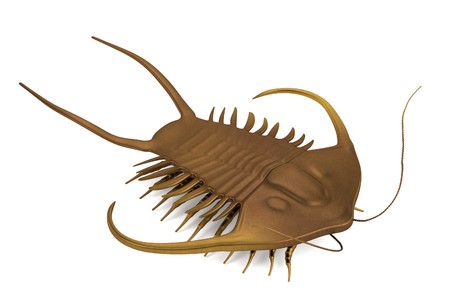 realistic 3d render of trilobiteの写真素材