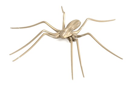 realistic 3d render of pisaura mirabilisの写真素材