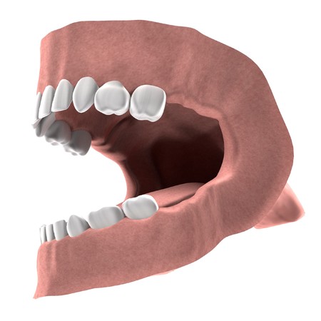 realistic 3d render of child teeth