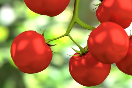 realistic 3d render of cherry tomatoesの写真素材