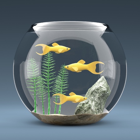 3d render of fish aquariumの写真素材