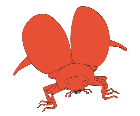 2d cartoon illustration of ladybug