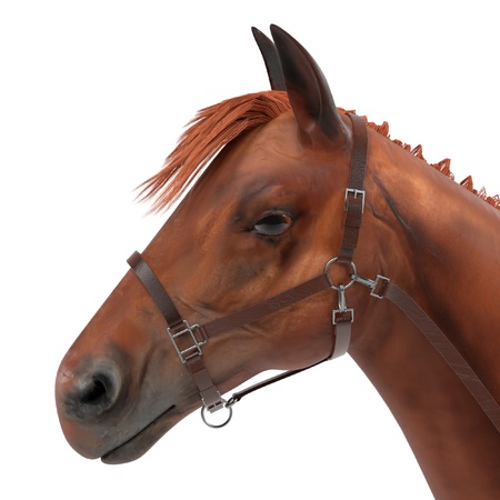 realistic 3d render of horseの写真素材