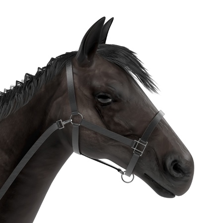realistic 3d render of horseの写真素材