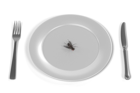 3d render of fly on plateの写真素材