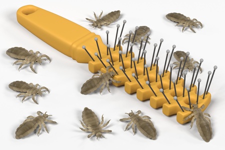 3d render of lices on comb