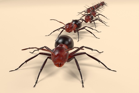 realistic 3d render of ants walkingの写真素材
