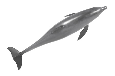 realistic 3d render of bottlenose dolphinの写真素材