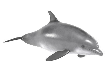 realistic 3d render of bottlenose dolphinの写真素材