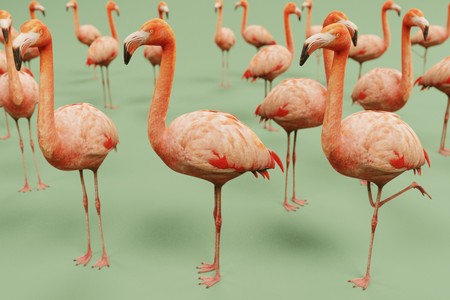 realistic 3d render of american flamingoの写真素材