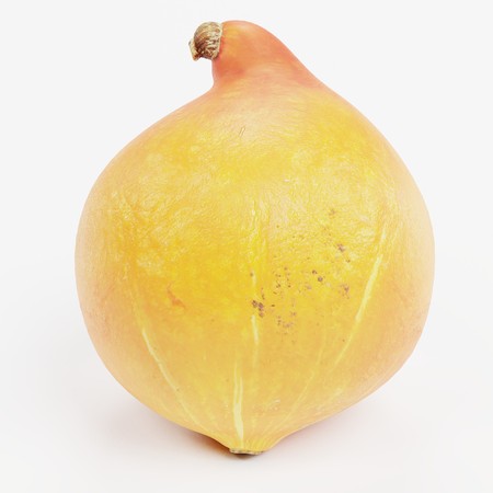 Realistic 3D Render of Pumpkinの写真素材
