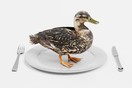 3D Render of Duck on Plateの写真素材