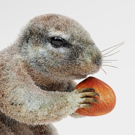 Realistic 3D Render of Cape Squirrrel