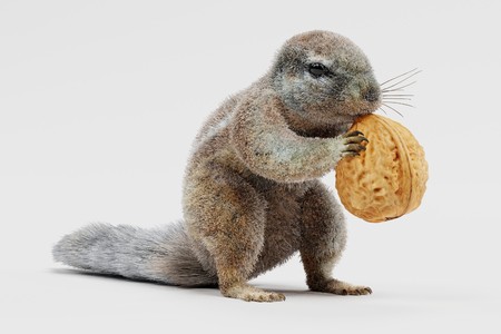 Realistic 3D Render of Cape Squirrrelの写真素材