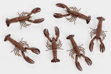 Realistic 3D Render of Lobsterの写真素材