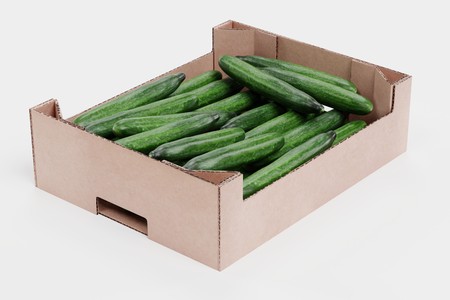 Realistic 3D Render of Cucumbers in Boxの写真素材