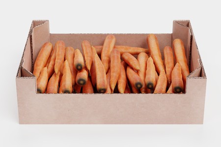 Realistic 3d Render of Carrots in Boxの写真素材