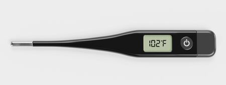 Realistic 3D Render of Thermometer