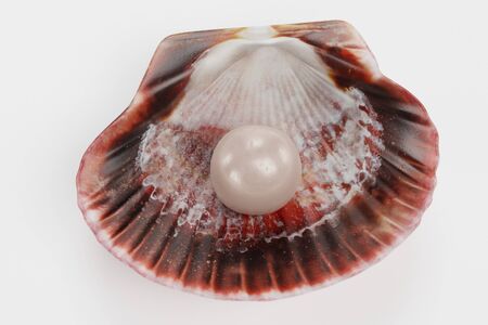 Realistic 3D render of Clam with Pearlの写真素材