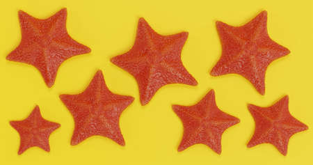 Realistic 3D Render of Bat Starfishの写真素材