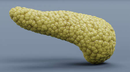 Realistic 3D Render of Pancreasの写真素材