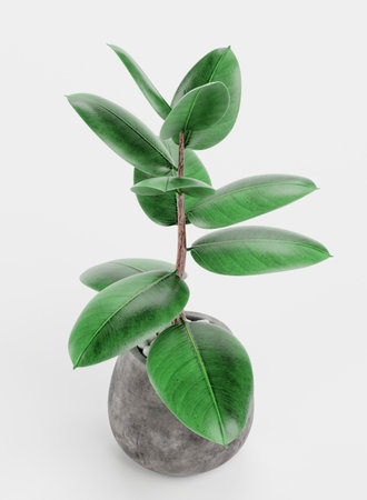 Realistic 3D Render of Ficus in Potの写真素材