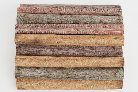 Realistic 3D Render of Tree Logs