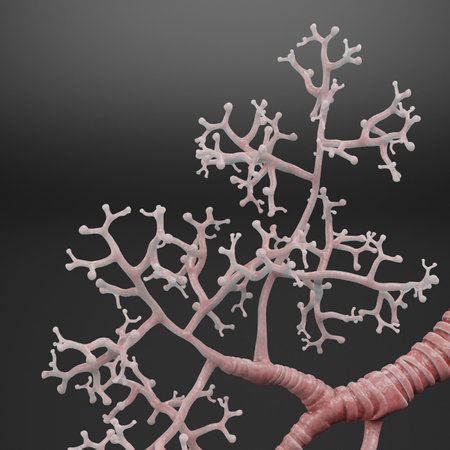 Realistic 3D Render of Trachea and Bronchiの写真素材