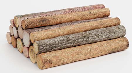 Realistic 3D Render of Tree Logs