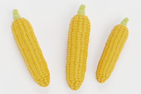 Realistic 3D Render of Cornの写真素材