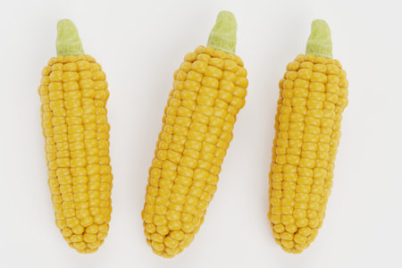 Realistic 3D Render of Cornsの写真素材